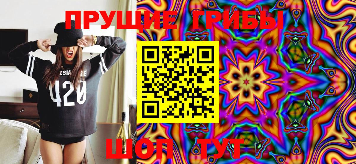 Псилоцибиновые грибы Cubensis  Псилоцибиновые грибы мицелий  Ленинск-Кузнецкий  Вход с VPN 