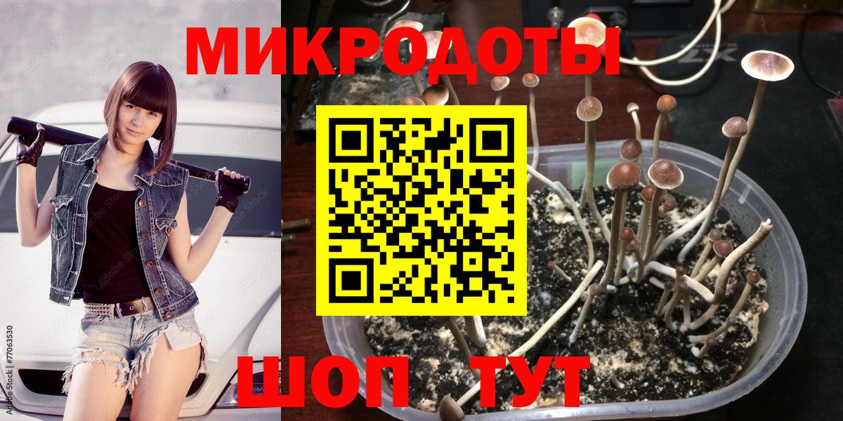 Галлюциногенные грибы мухоморы Ленинск-Кузнецкий